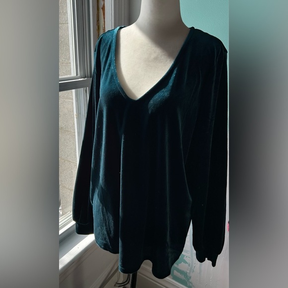 BNWT Cleo size L velvet greenish/blue long-sleeve shirt - Picture 5 of 10